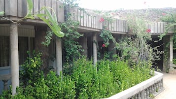 Un patio con balaustrada de piedra, vegetación y un edificio con columnas.