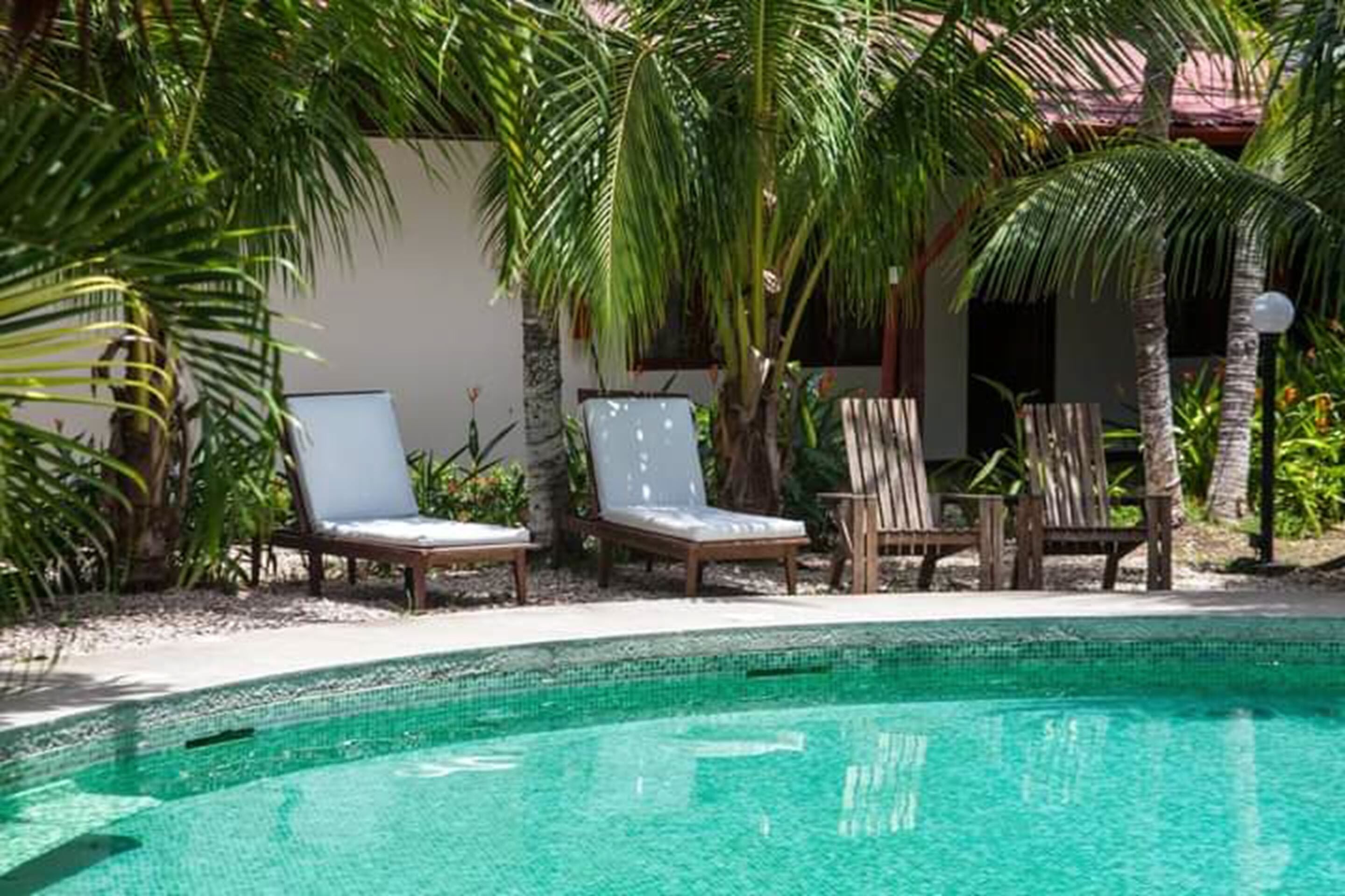 A clear blue pool surrounded by wooden lounge chairs and palm trees.
