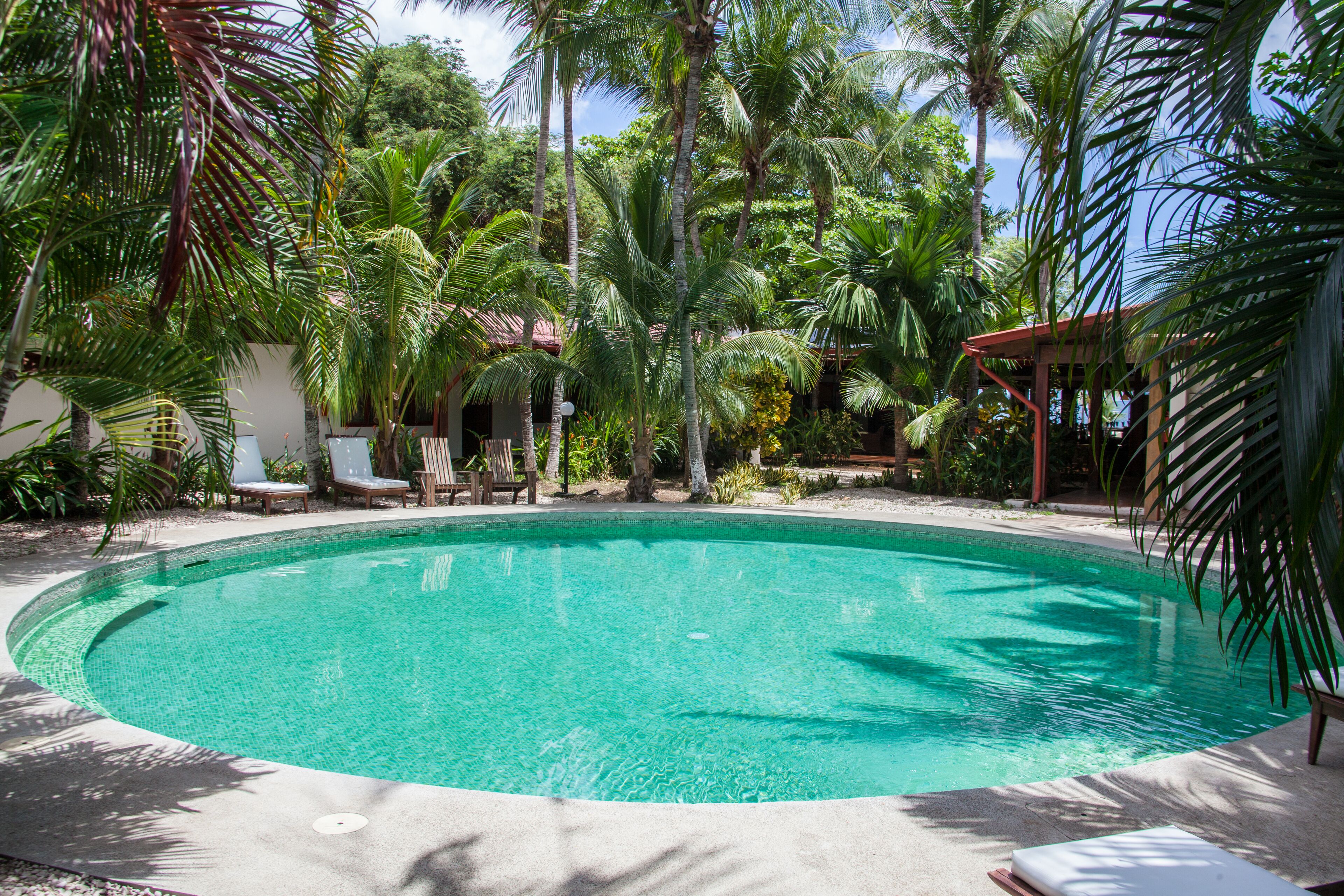 A circular pool surrounded by palm trees and lounge chairs.