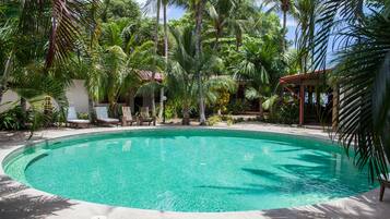 Una piscina circular rodeada de palmeras y sillas de descanso.