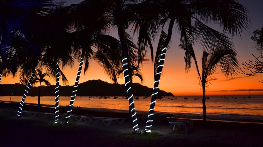 Café de Playa Beach Front Hotel