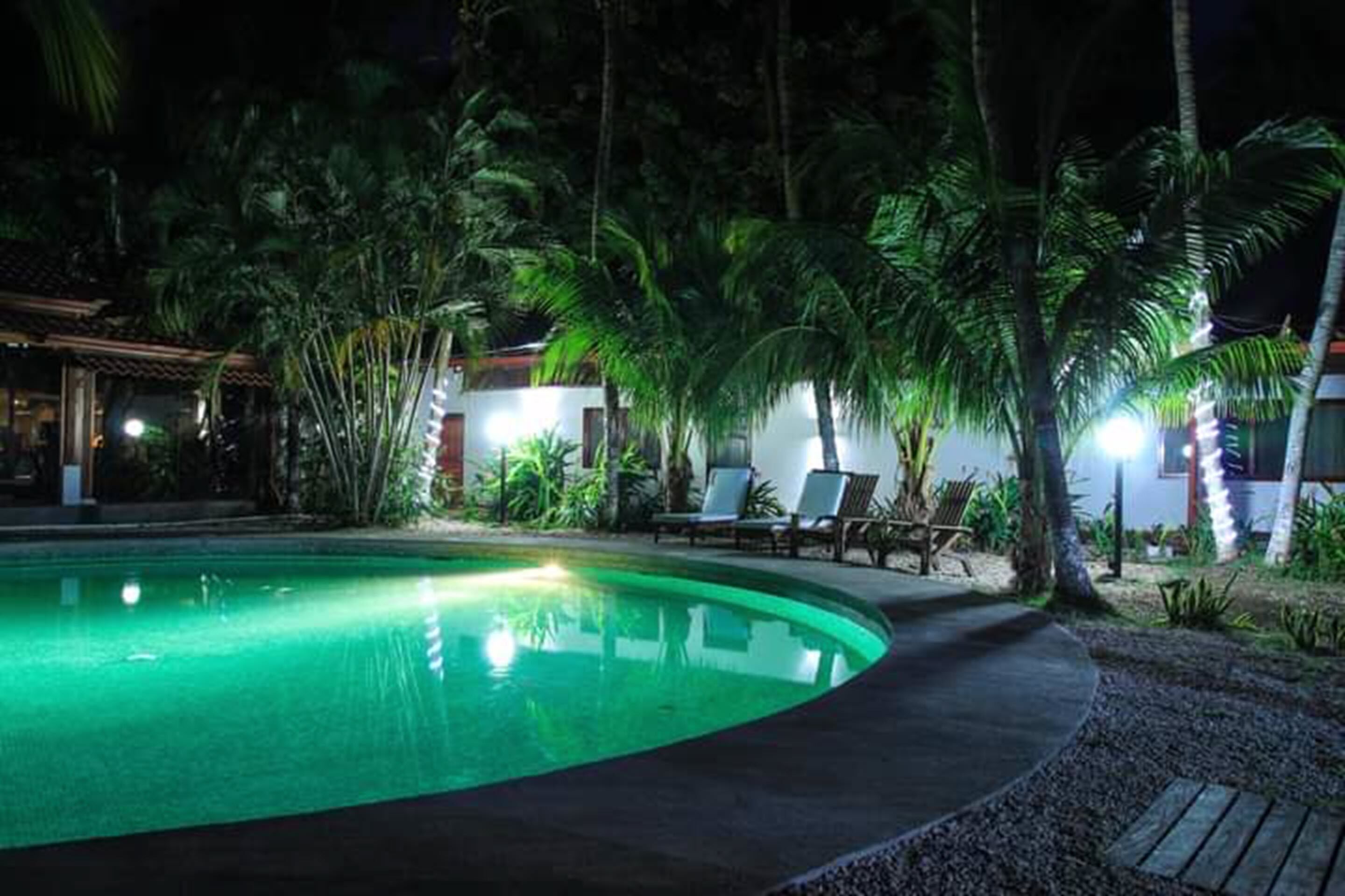 A nighttime swimming pool with a curved edge, surrounded by palm trees and lounge chairs.