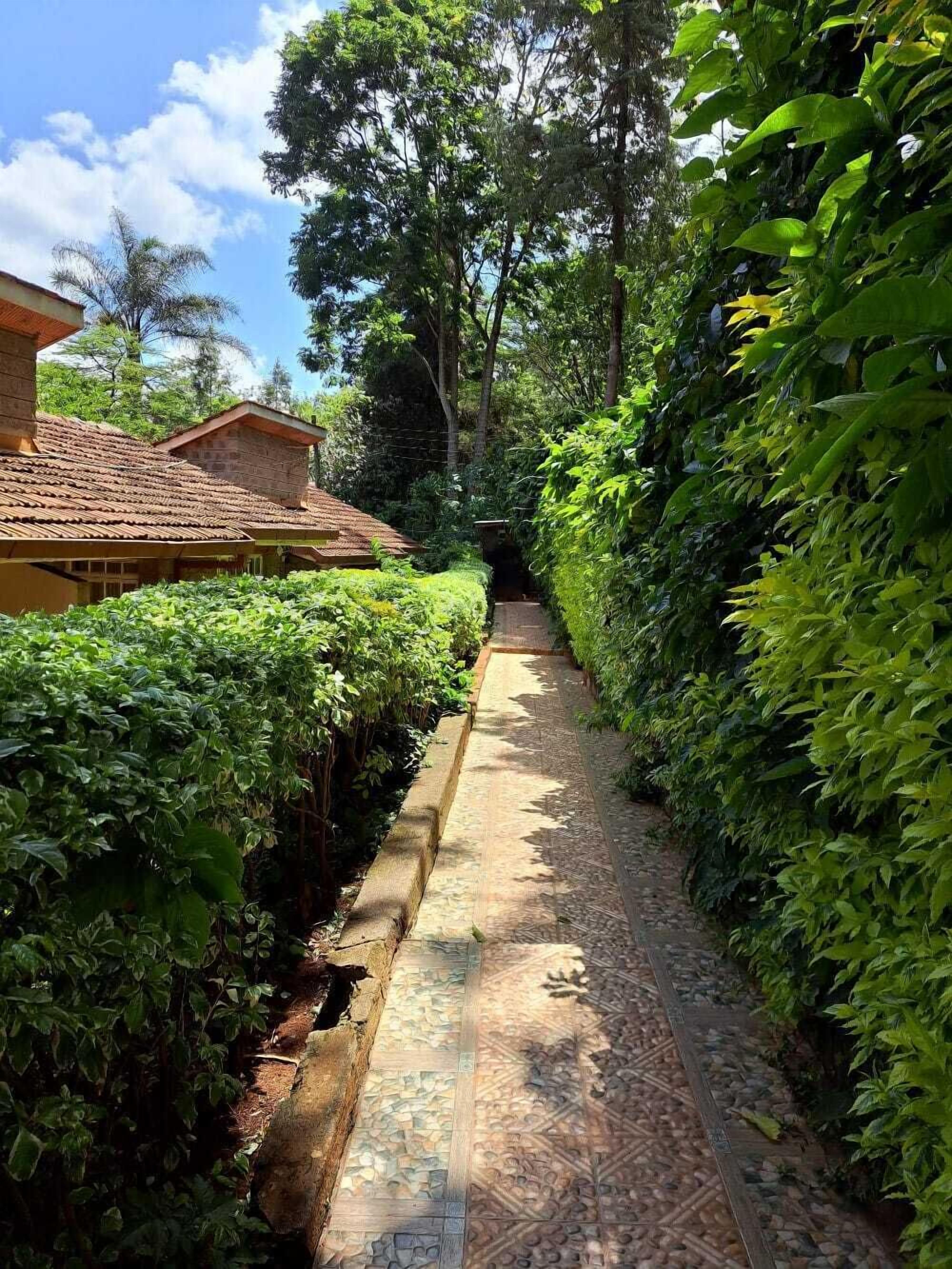 Un sendero estrecho bordeado por exuberante vegetación y edificios tradicionales con tejados de tejas.