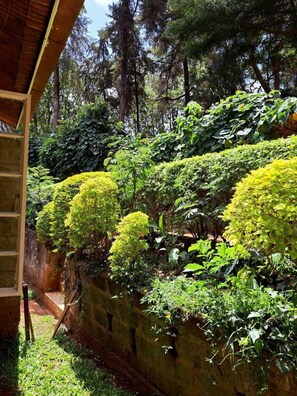 Exterior - Rosslyn Studios (Nairobi)