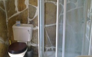 Shower, free toiletries, towels