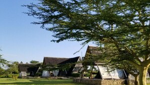 Um edifício tradicional com telhado de palha, rodeado por um campo gramado e árvores.
