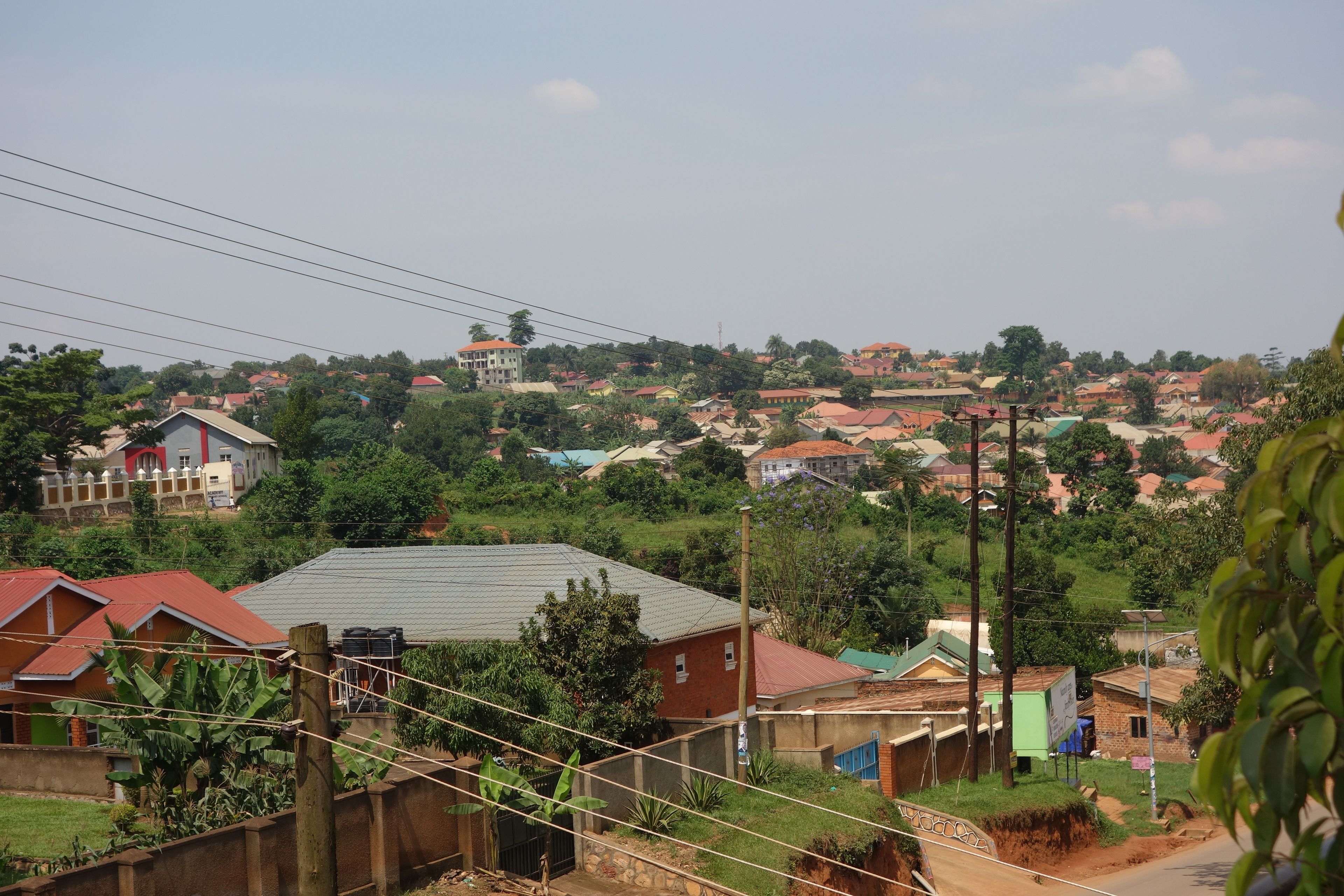 A residential area with houses, some with red roofs, and a few with green roofs. There are power lines and a few trees visible.