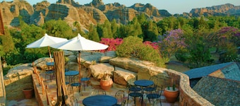 Savanna Cafe