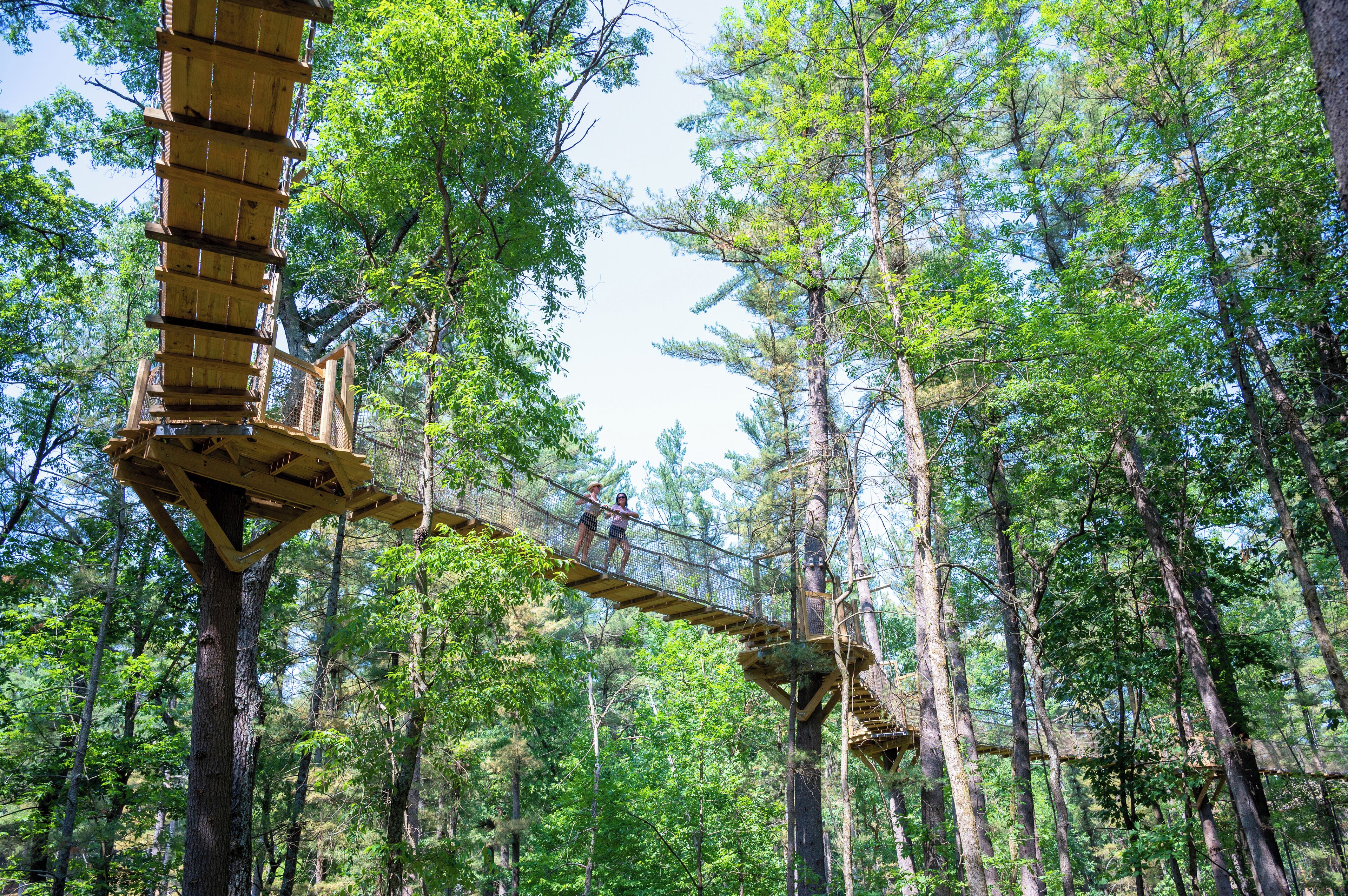A wooden suspension bridge in a forest.