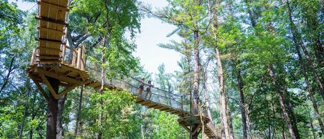A wooden suspension bridge in a forest.