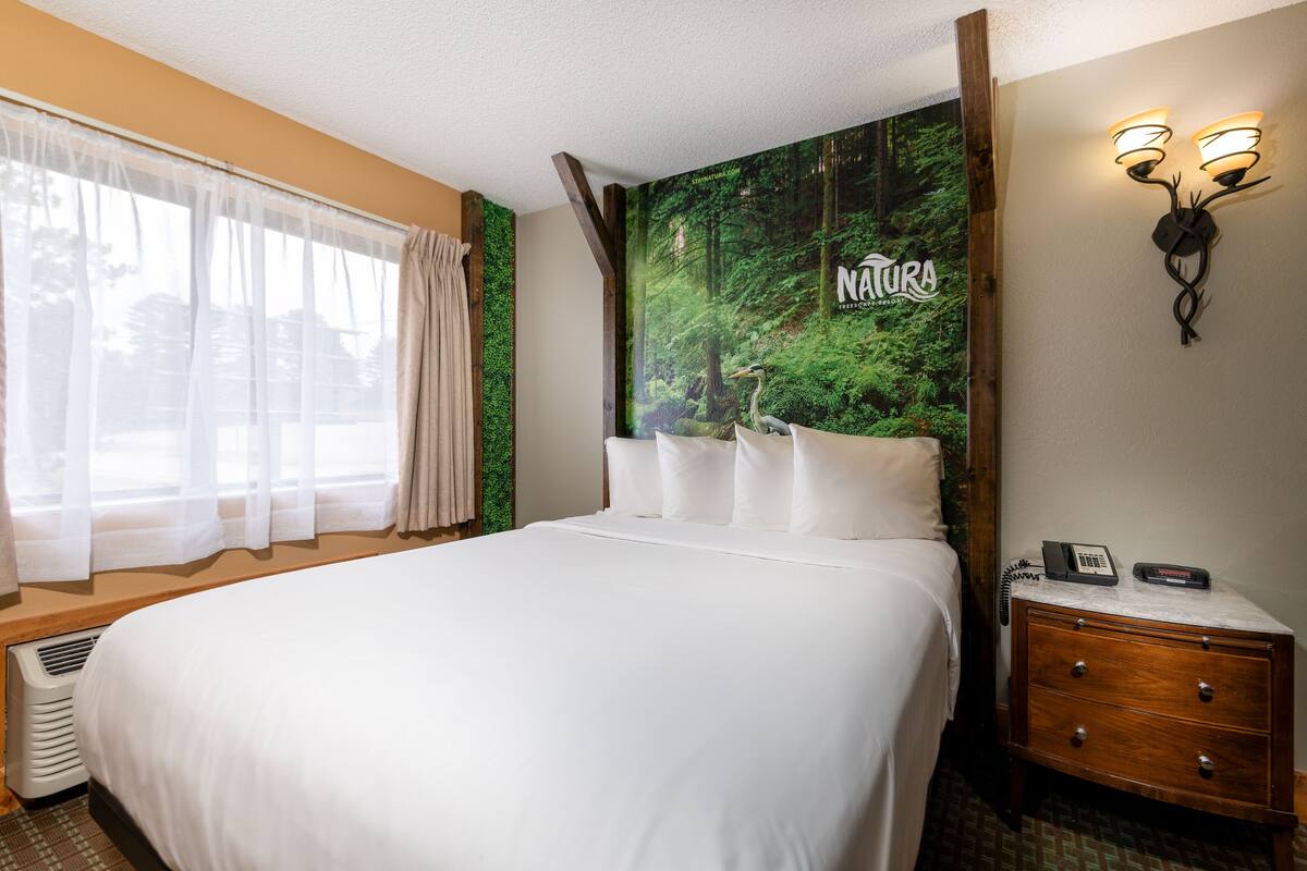 A hotel room with a large bed, a nightstand with a phone, and a wall with a nature-themed mural.
