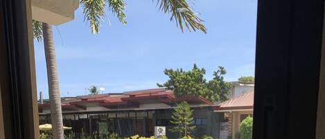 A view through a window of a building with a gravel driveway, palm trees, and a sign indicating a restaurant.