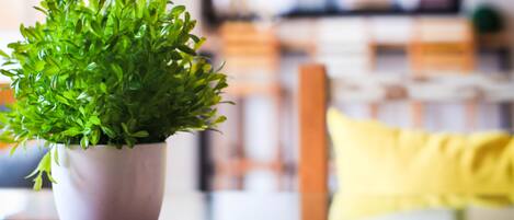 Une plante en pot est posée sur une table dans une pièce où se trouvent un coussin jaune et une chaise en bois.