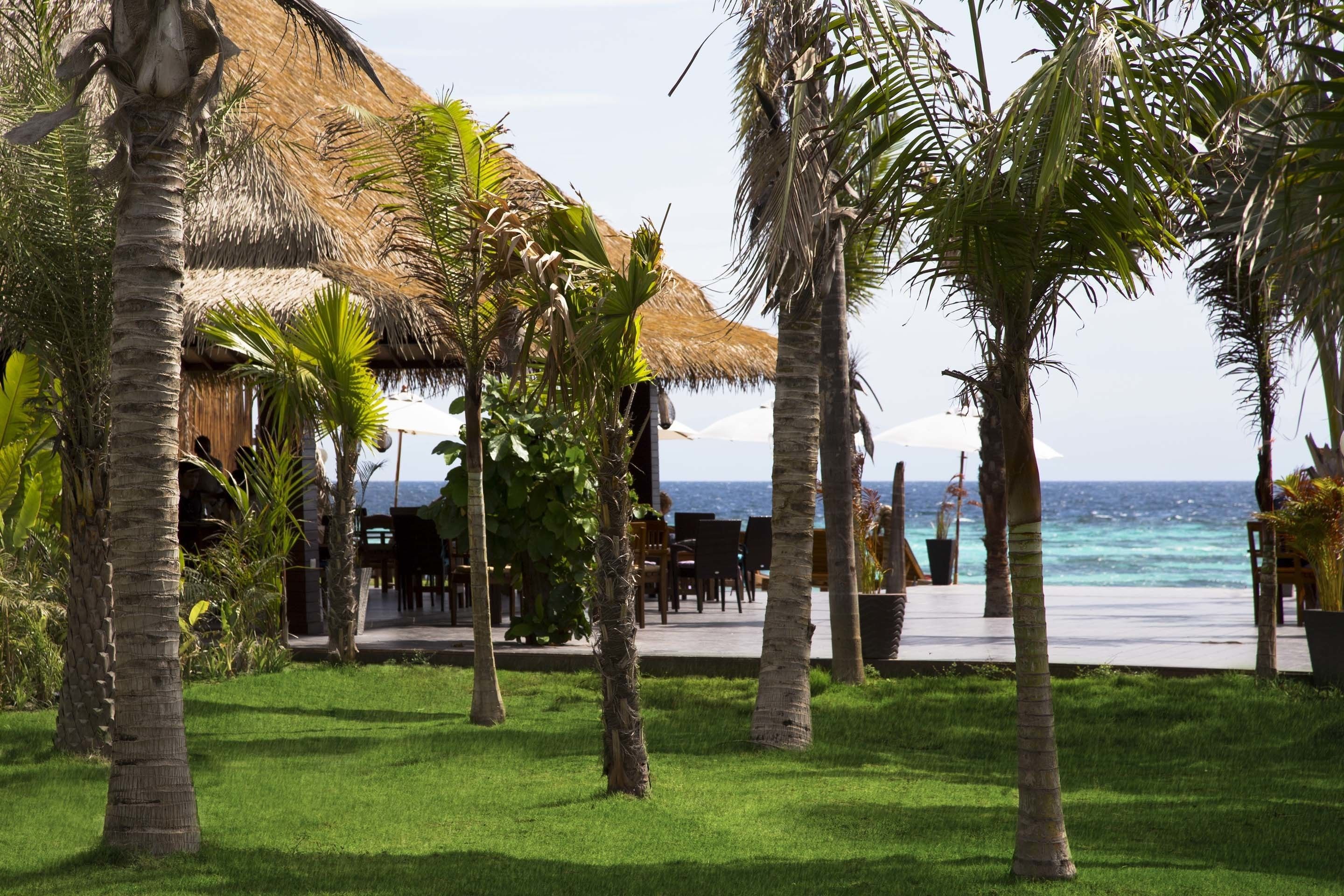 A tropical resort with palm trees, a thatched-roof structure, and a view of the ocean.