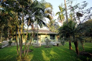 Jardim