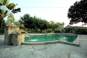 Una piscina con una fuente de piedra, rodeada de baldosas de piedra y exuberante vegetación.