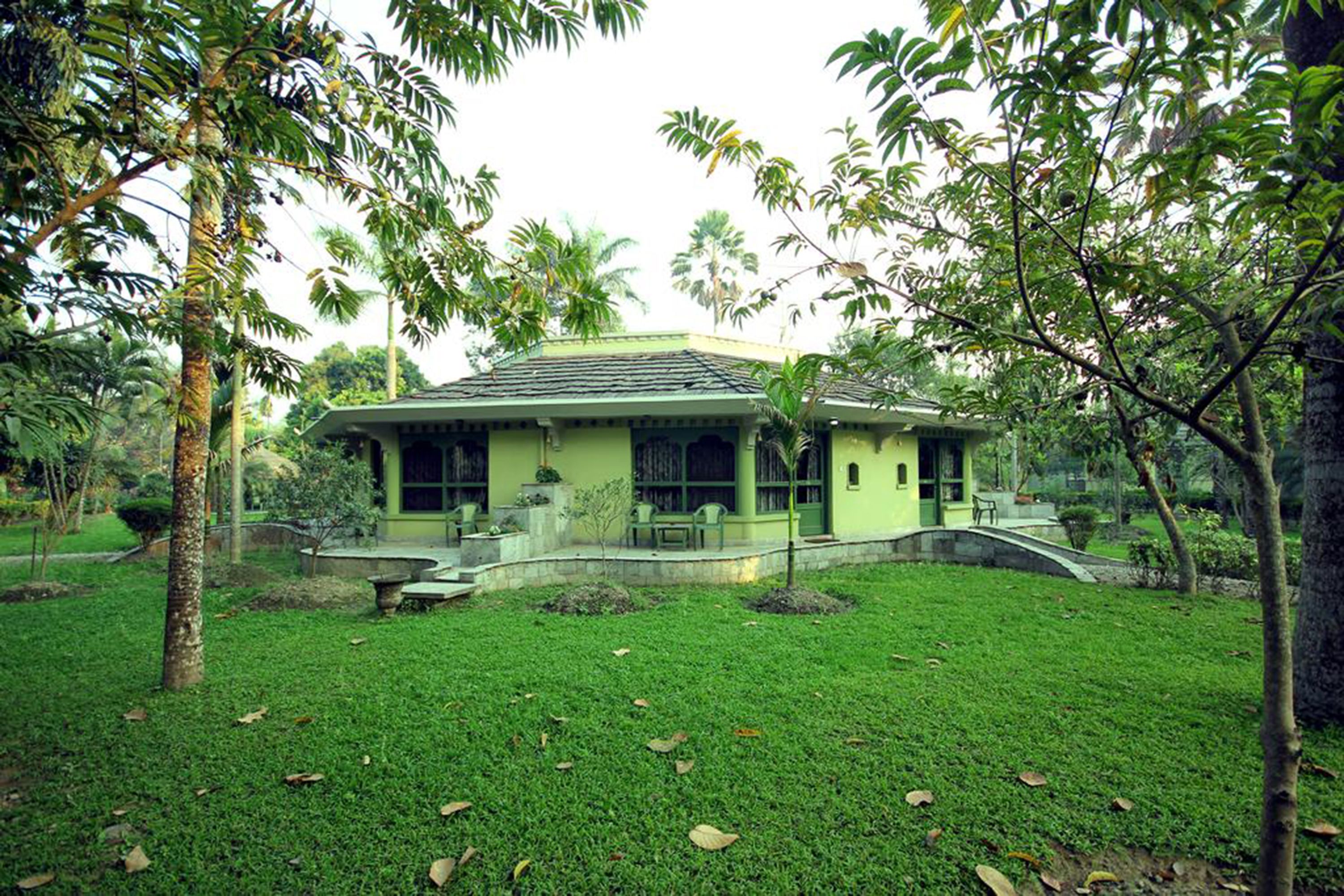 A single-story house with a green roof and a small porch, surrounded by lush greenery and palm trees.