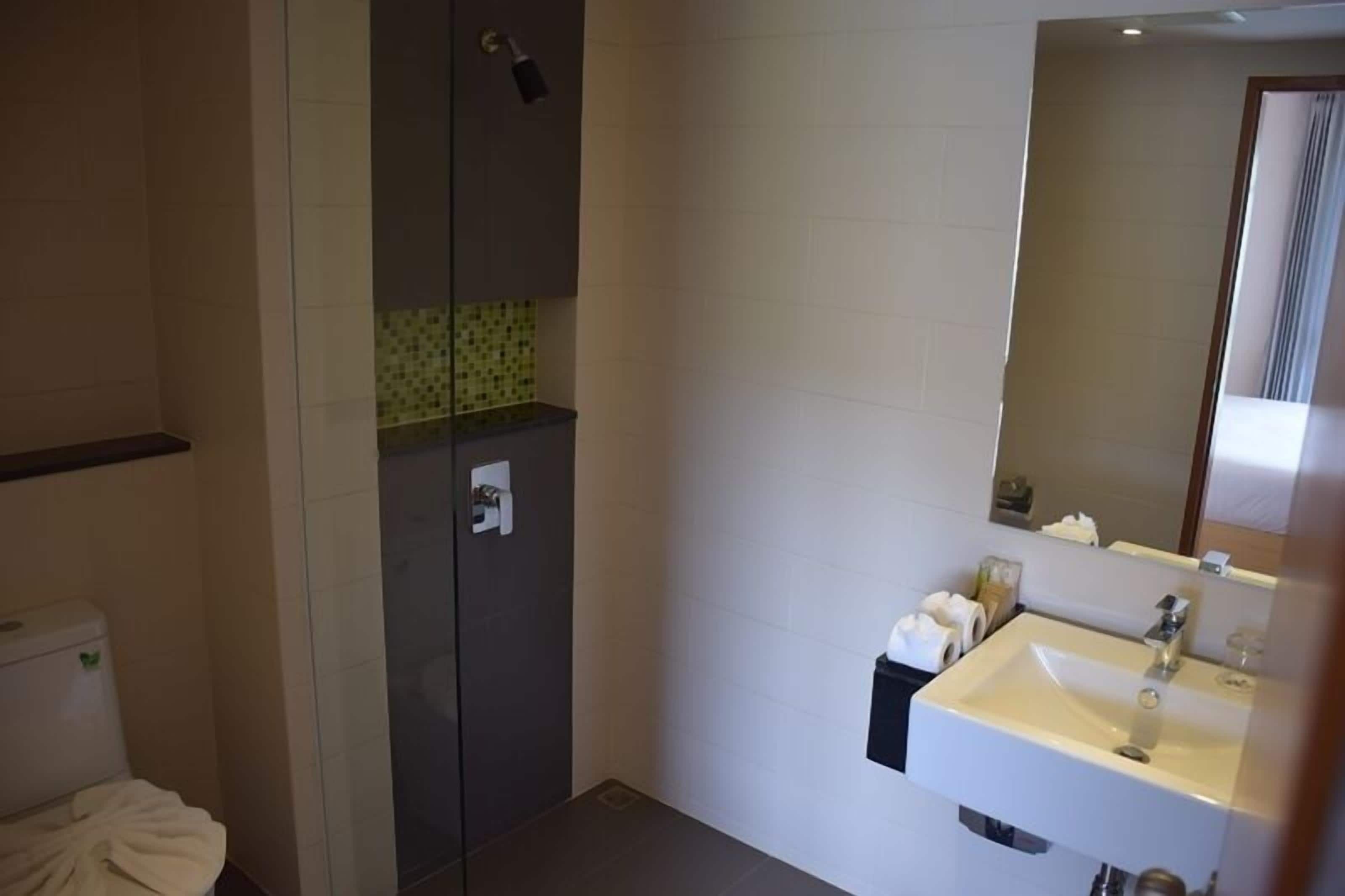 shower, free toiletries, hair dryer, towels