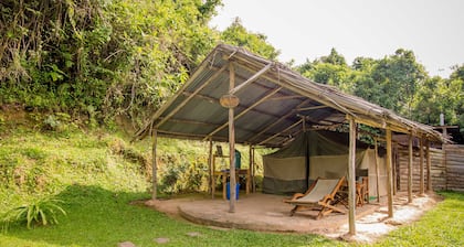 Bushara Island Camp