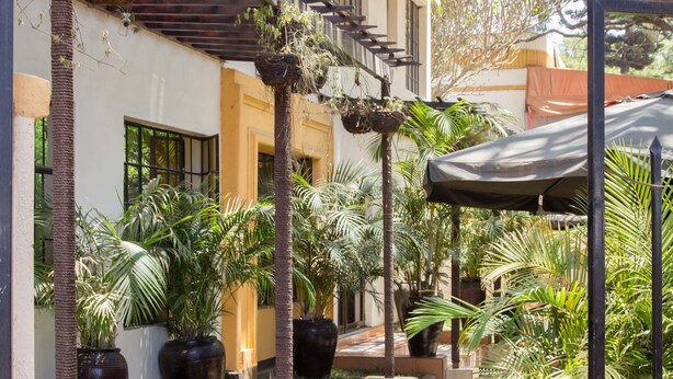 Un patio con plantas en macetas, una zona de estar cubierta y una escalera que conduce a un nivel superior.