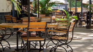 Un café al aire libre con mesas y sillas de madera, rodeado de plantas en macetas y sombrillas.