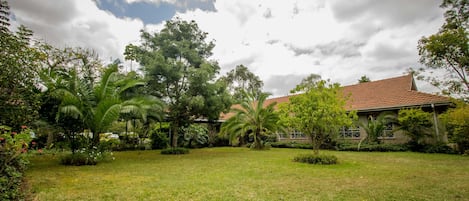 Garden view
