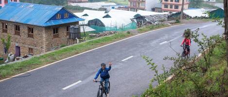 A rural road with houses and greenhouses.