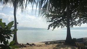 A beach with palm trees, a sandy shore, and a view of the sea. - Blue Lotus Resort (Ko Pha-ngan)