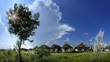 Deluxe Double or Twin Room | Balcony view