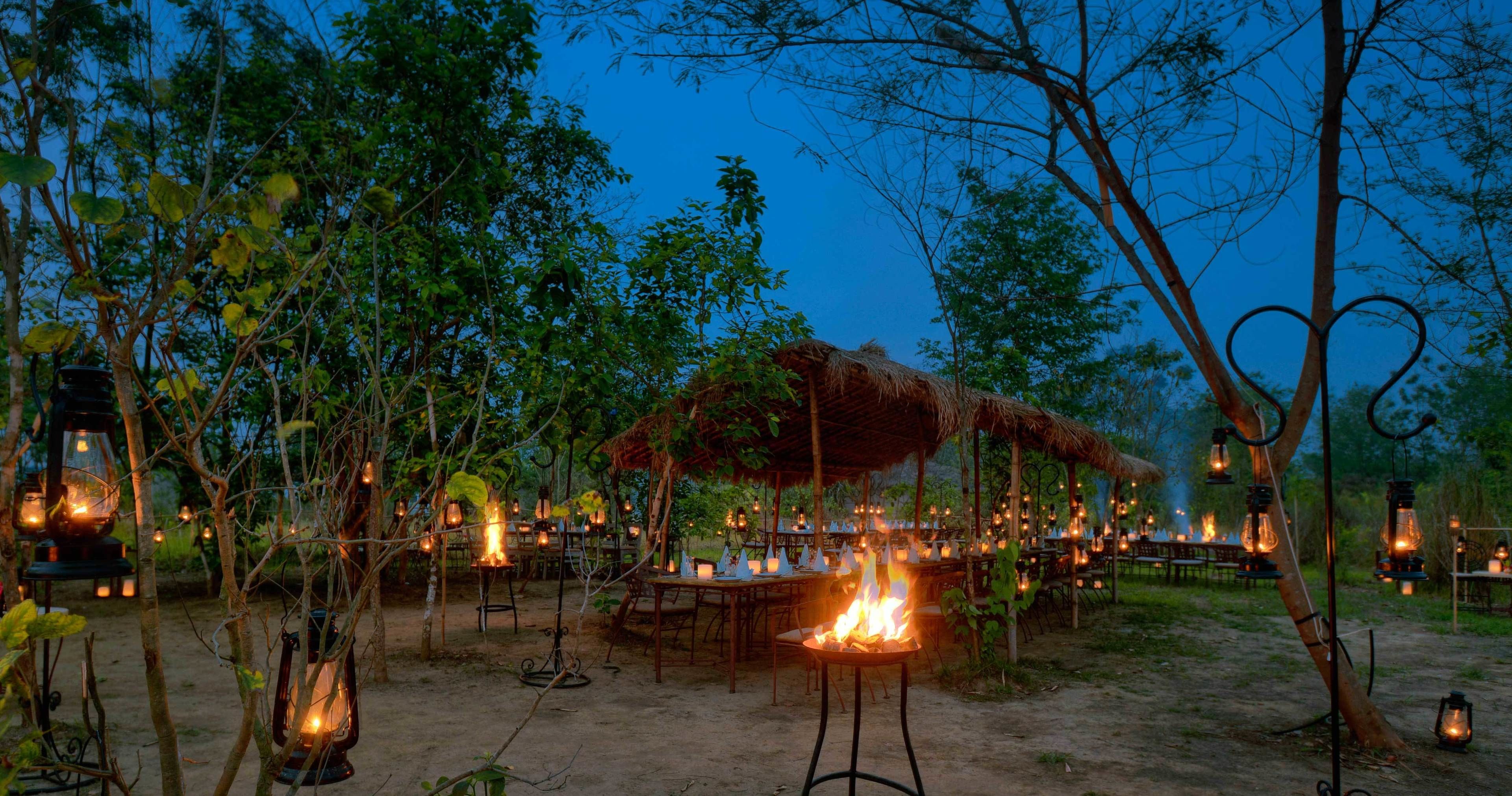 Un área de comedor al aire libre con mesas y sillas, rodeada de árboles y faroles.