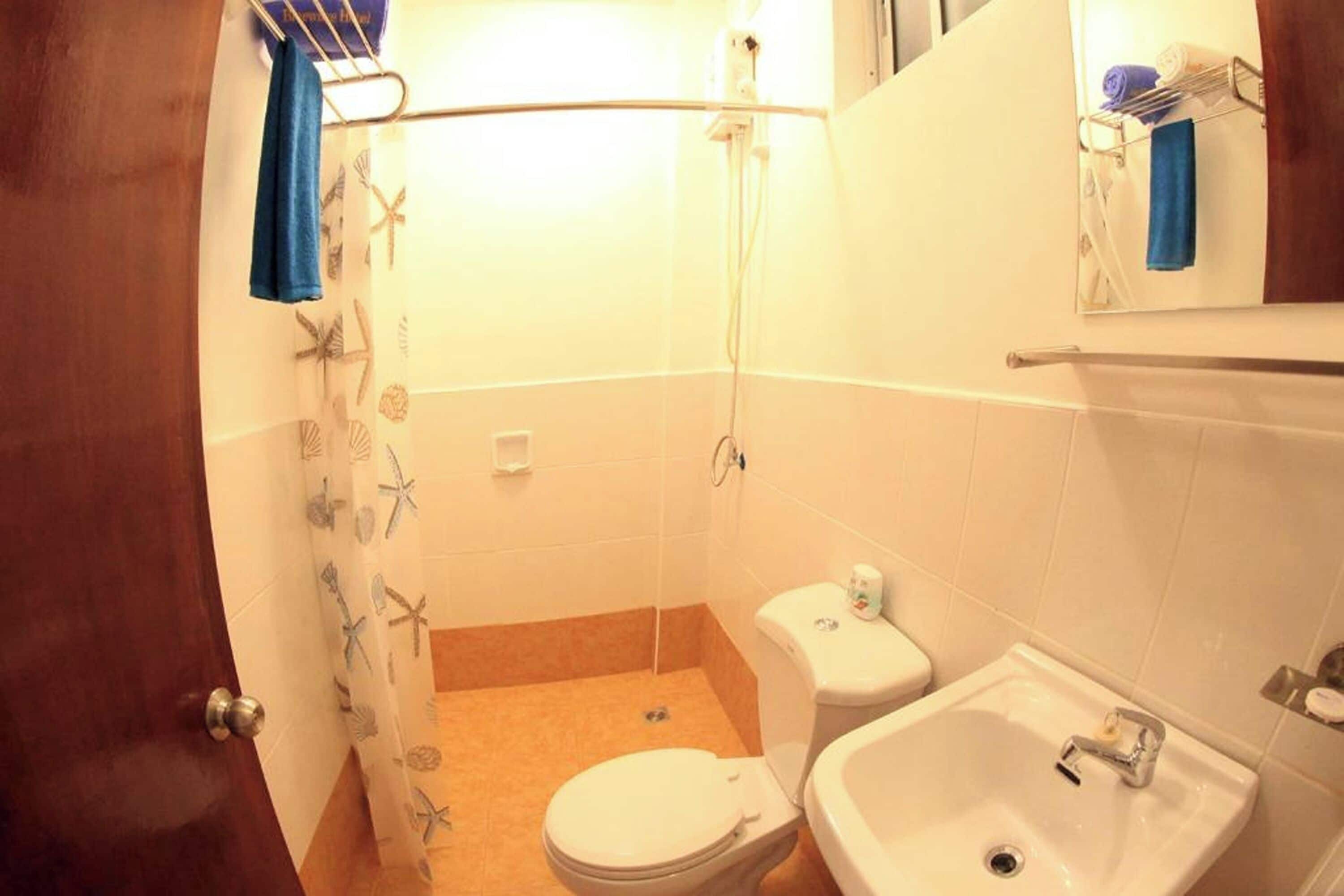 shower, rainfall showerhead, free toiletries, hair dryer