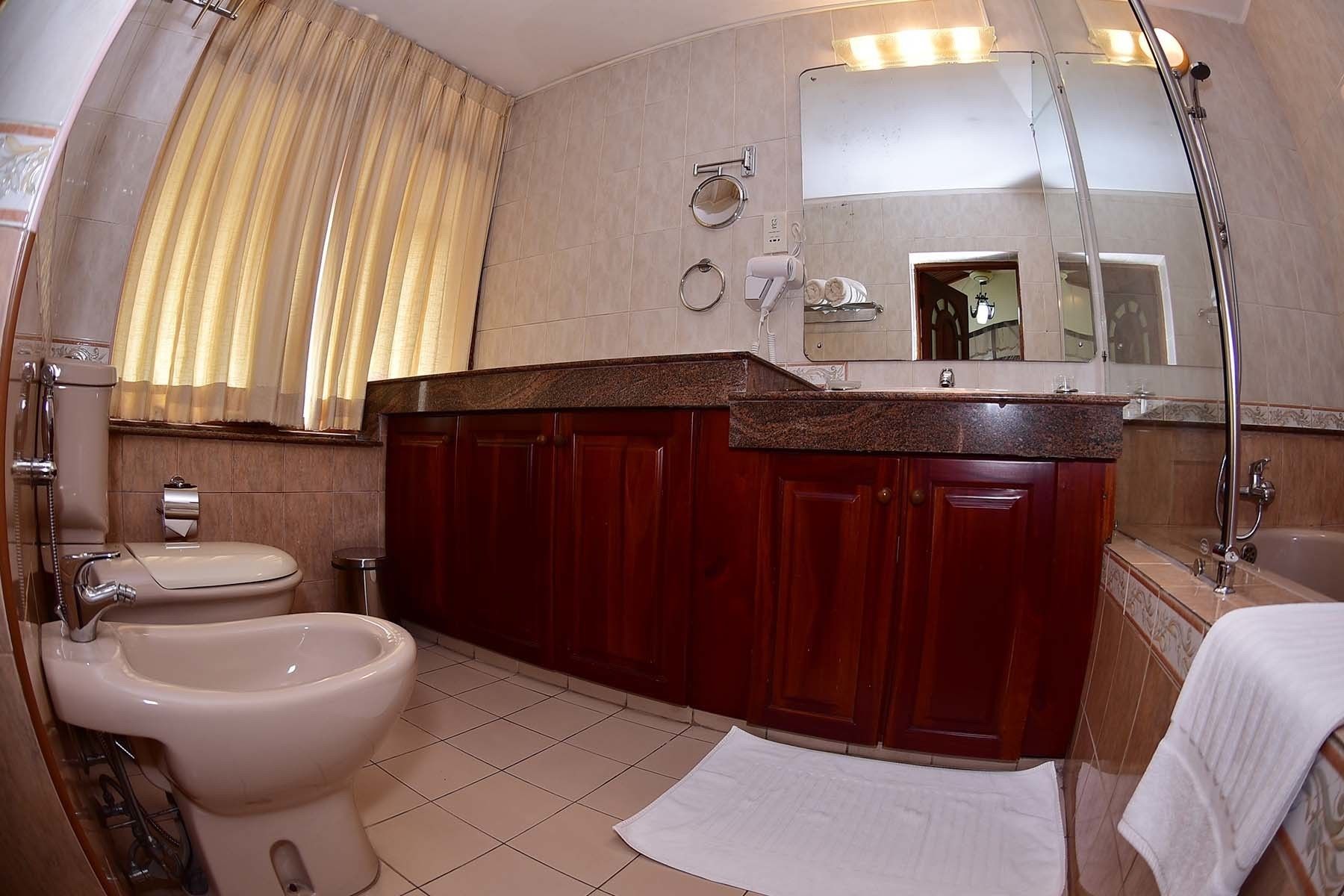 A bathroom with a toilet, bidet, and a large mirror above the sink.