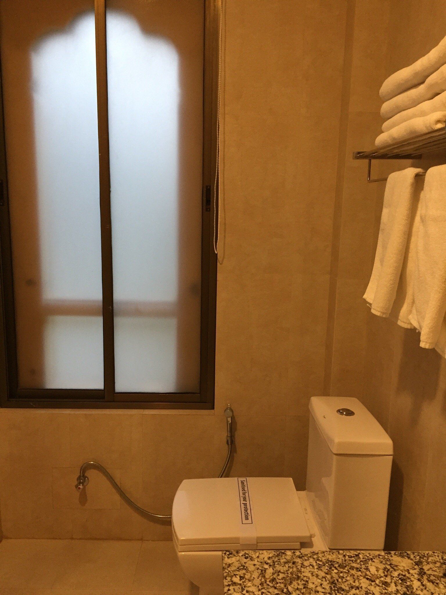 A bathroom with a toilet, a shower, and a towel rack.
