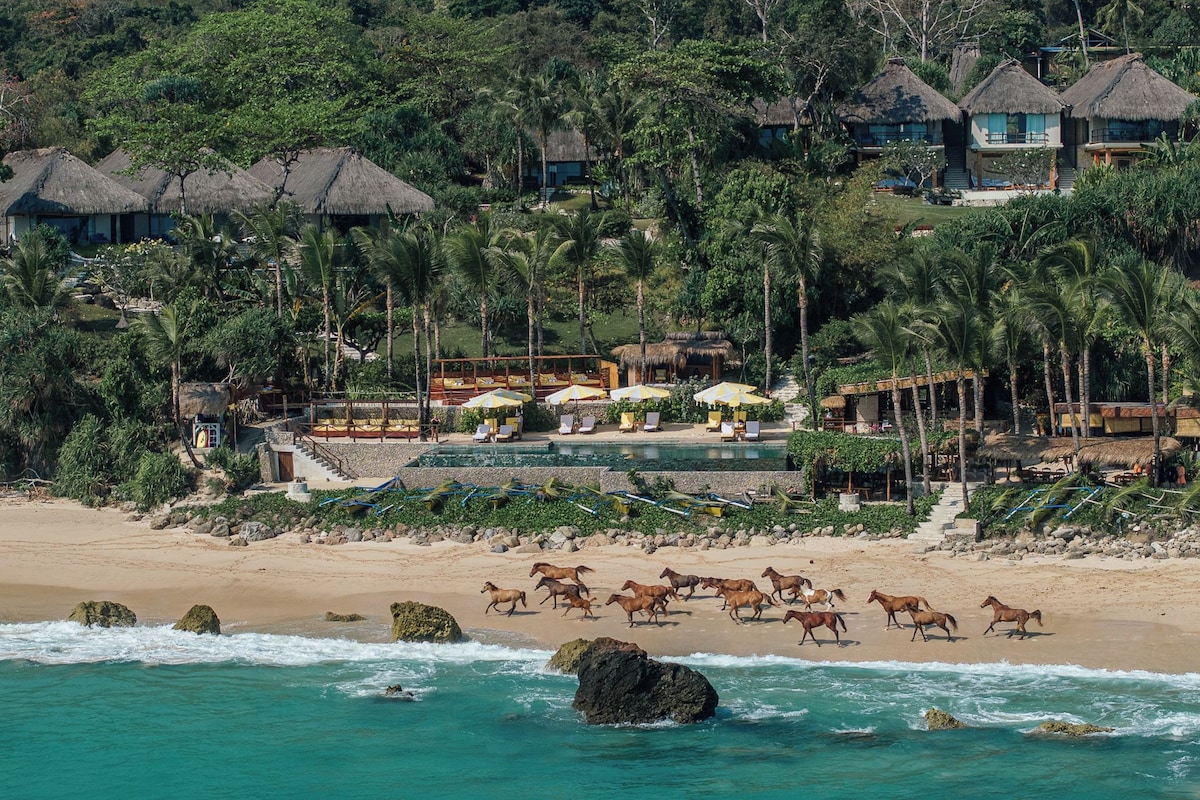 A beachfront resort with thatched-roof buildings, a pool area, and a beach with horses.
