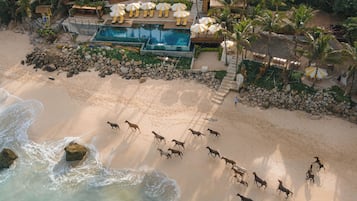 Beach bar