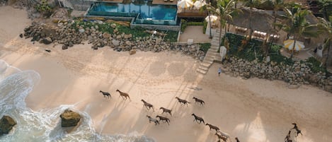 Beach bar