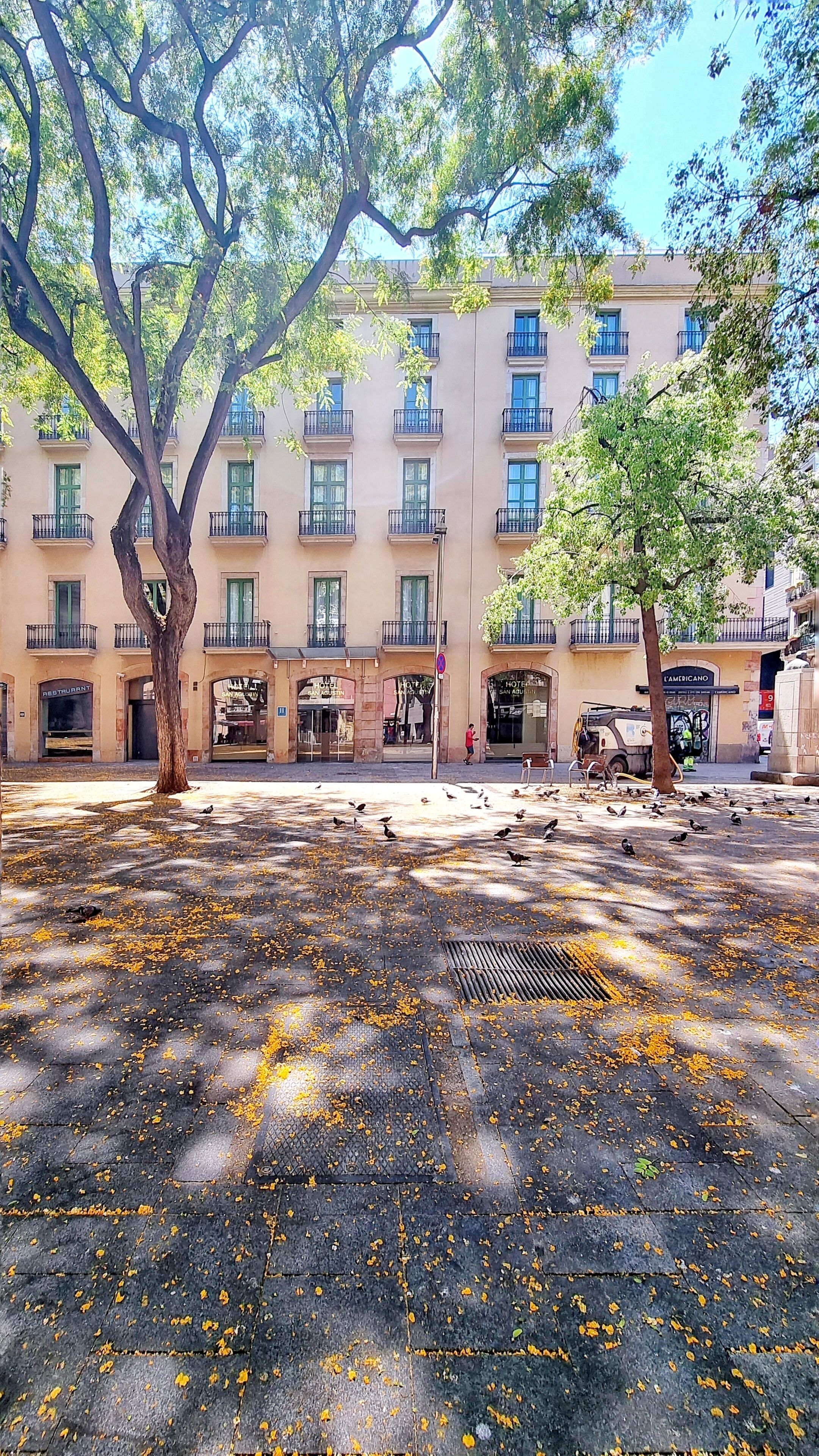 A building with multiple balconies, a central courtyard with scattered yellow leaves, and a few pigeons.