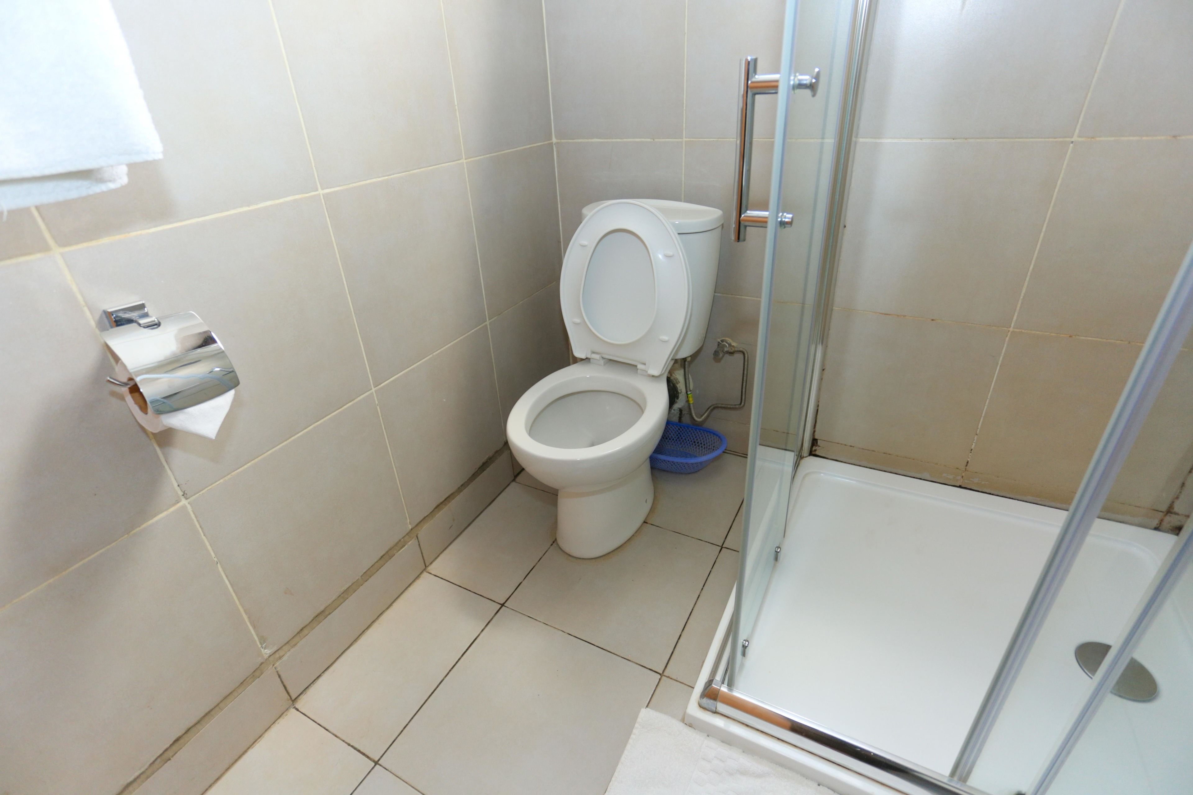 A bathroom with a toilet, a shower, and a toilet paper holder.