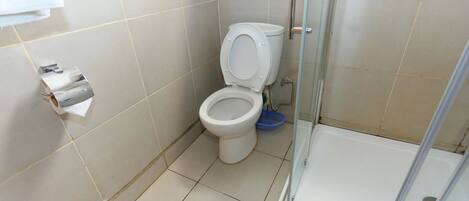 A bathroom with a toilet, a shower, and a toilet paper holder.