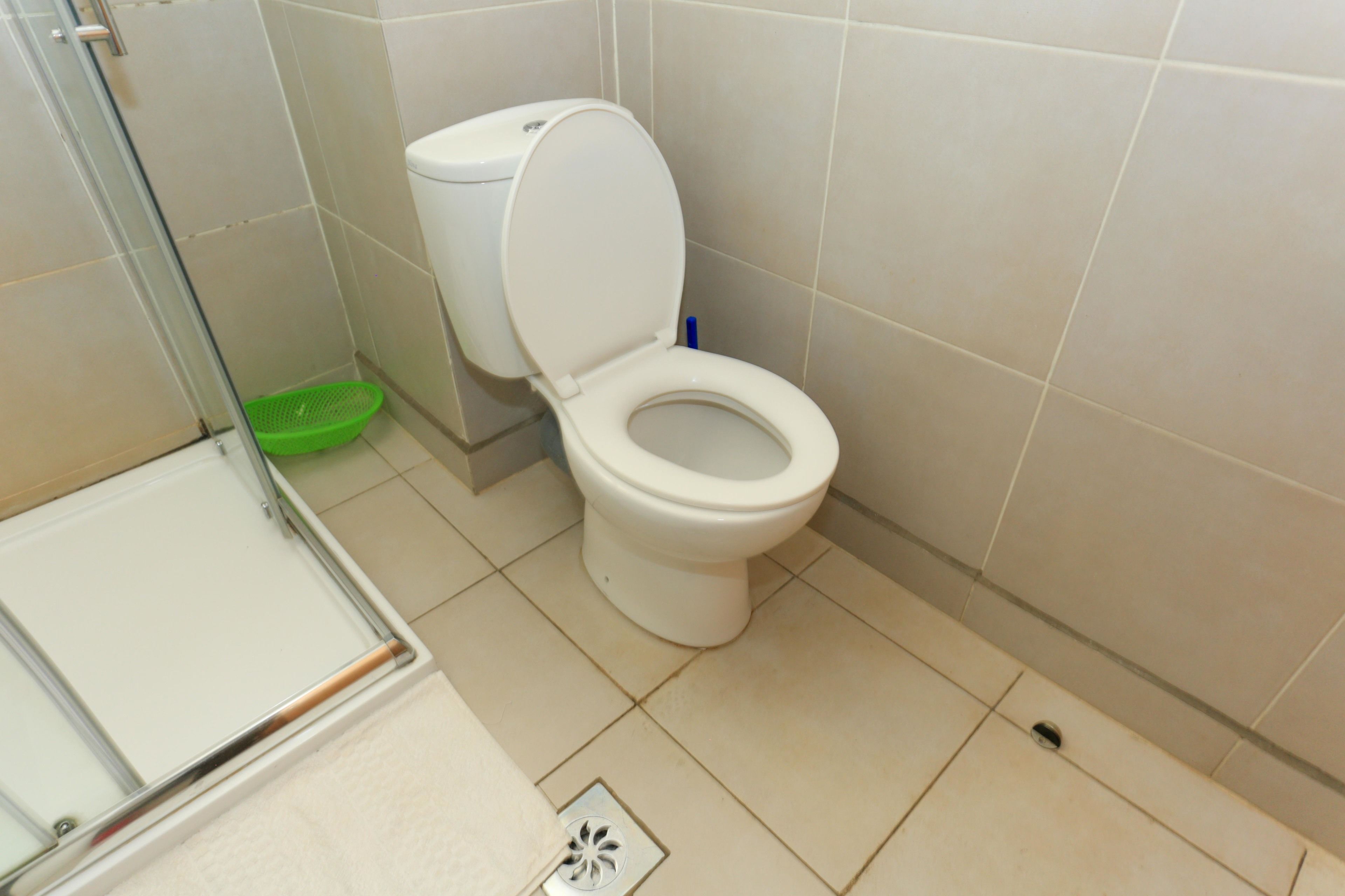 Ein Badezimmer mit Toilette, einer Dusche mit Glastür und einem grünen Mülleimer.