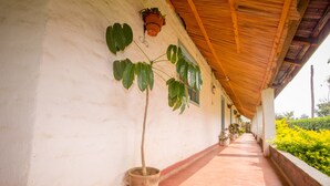 Un pasillo con una planta en maceta, techo de madera y pared blanca.