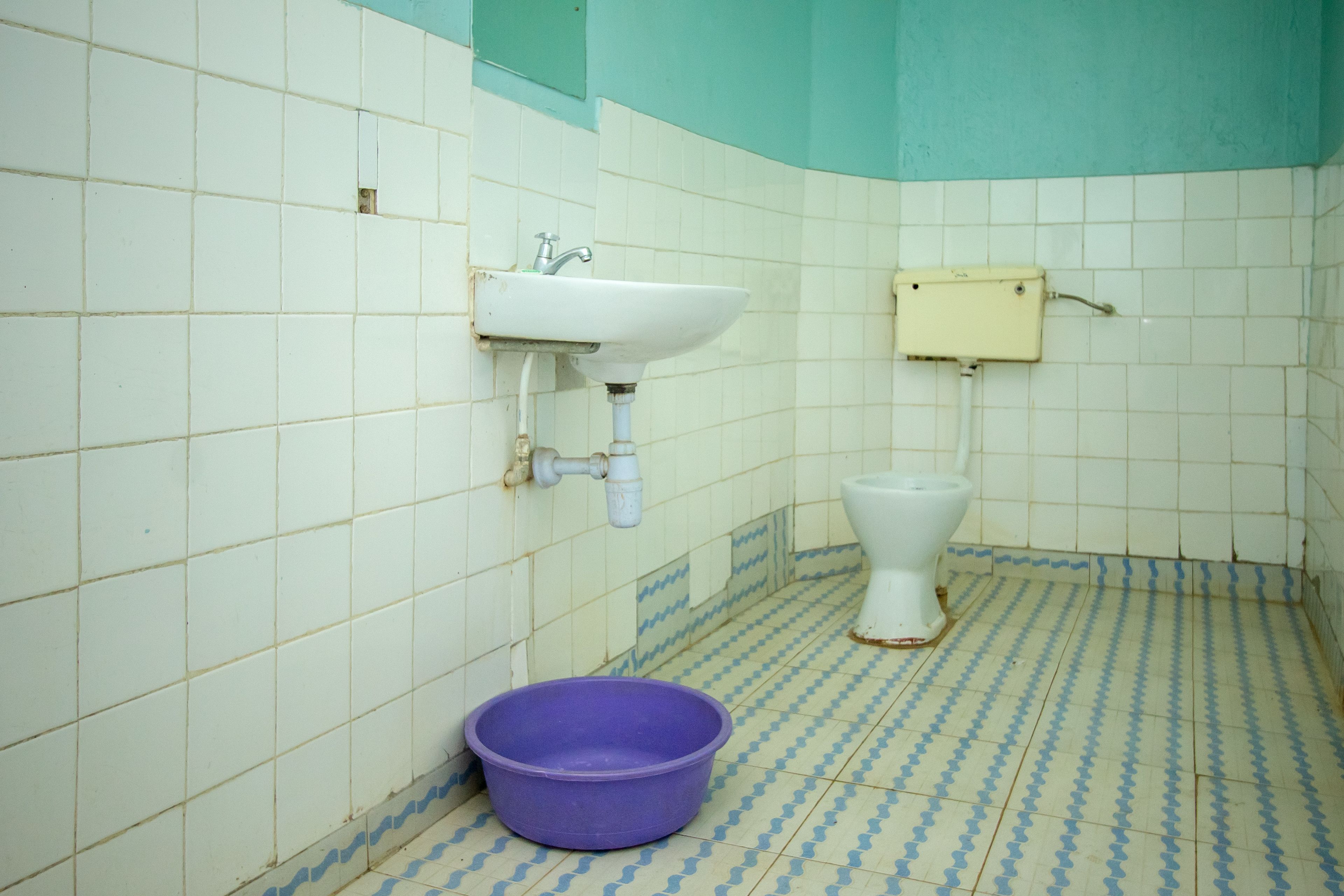 A bathroom with a white sink, a toilet, and a purple basin on a patterned floor.