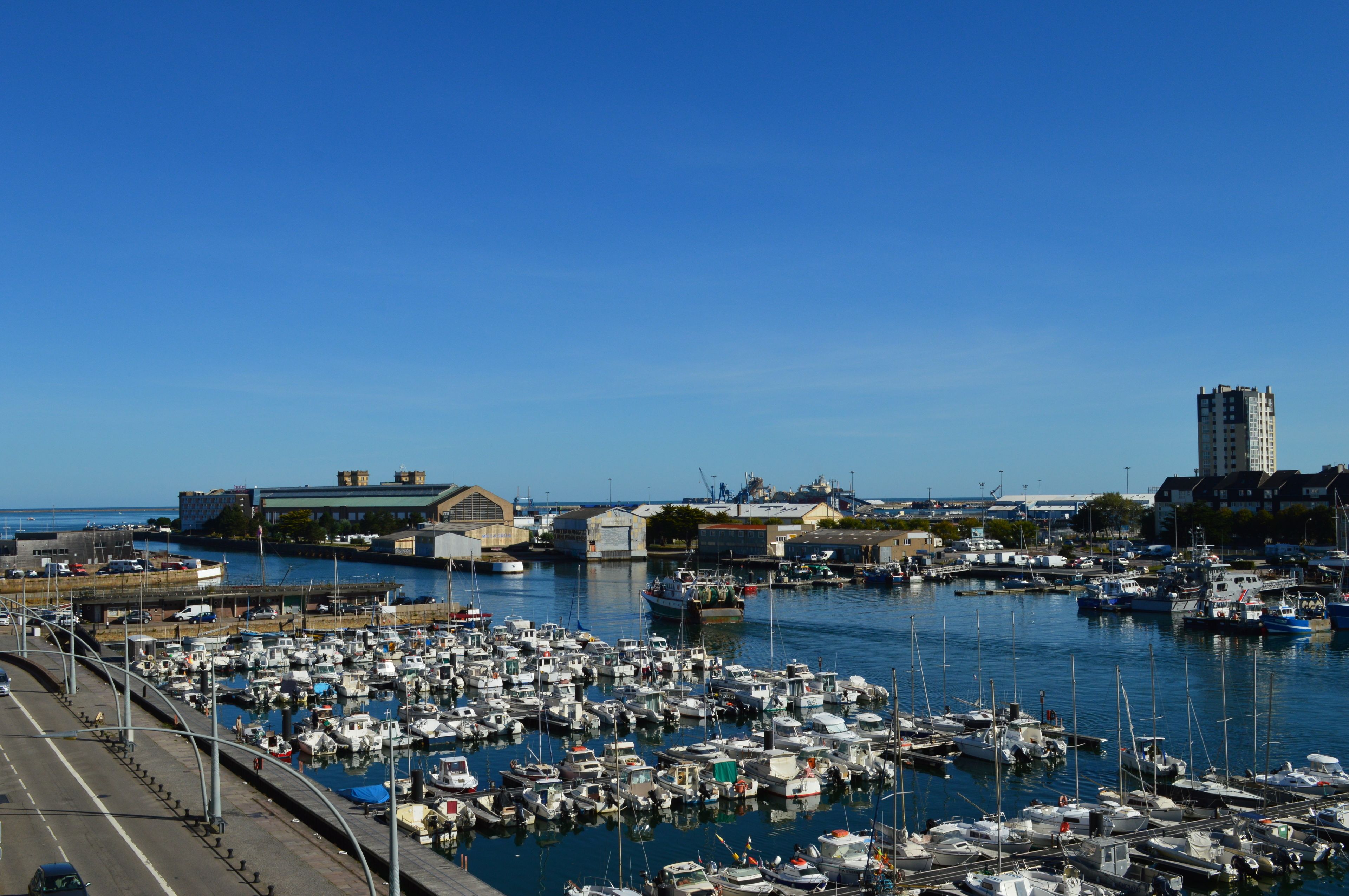A marina with numerous boats docked, a clear blue sky, and buildings in the background.