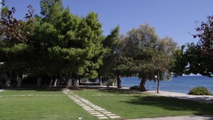 Un parque con un sendero de piedra, árboles y vista al mar.