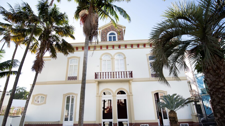 Casa das Palmeiras Charming House Azores