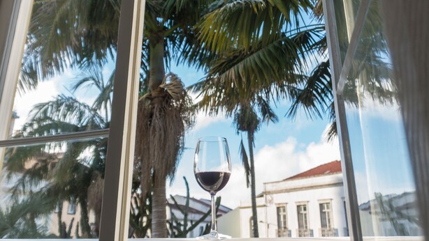 Una ventana con vista a palmeras y un edificio al fondo.