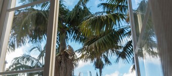 Casa das Palmeiras Charming House Azores