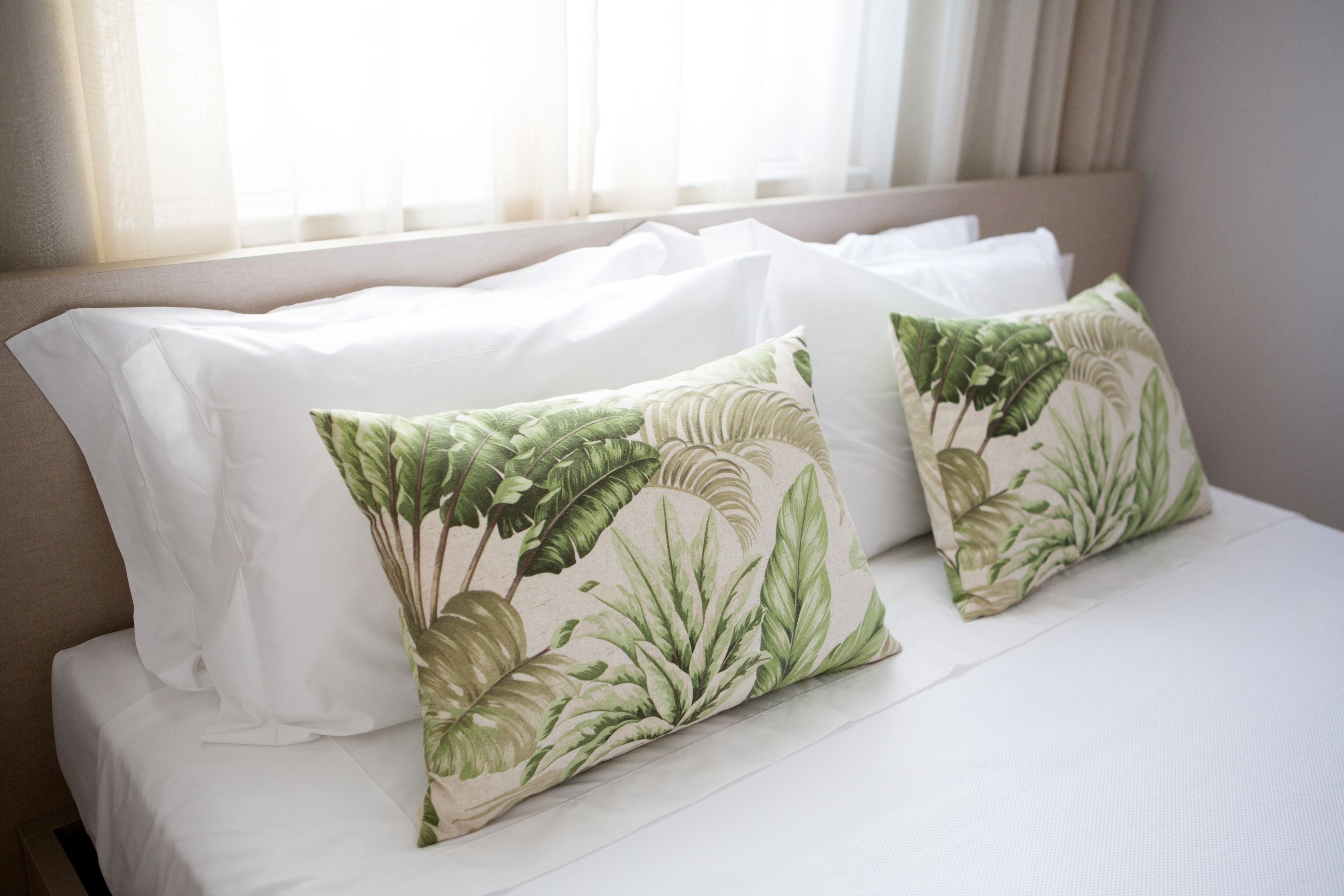 Foto - Casa das Palmeiras Charming House - Azores 1901