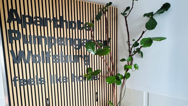 A corner of a room with a vertical wooden slat wall, a potted plant, and a blue chair. - Aparthotel Pumpengasse (Wolfsburg)