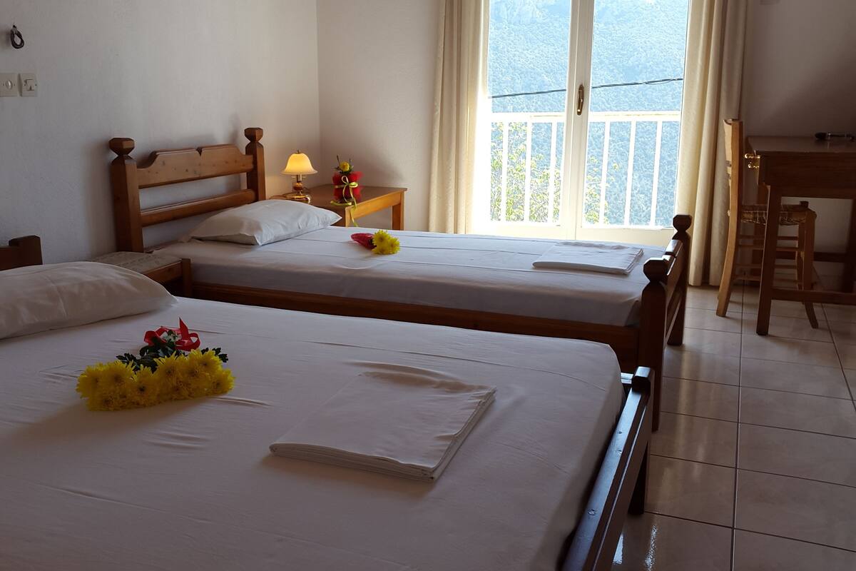 A hotel room with two single beds, a wooden headboard, a bedside table with a lamp, and a view of the outdoors through a window.